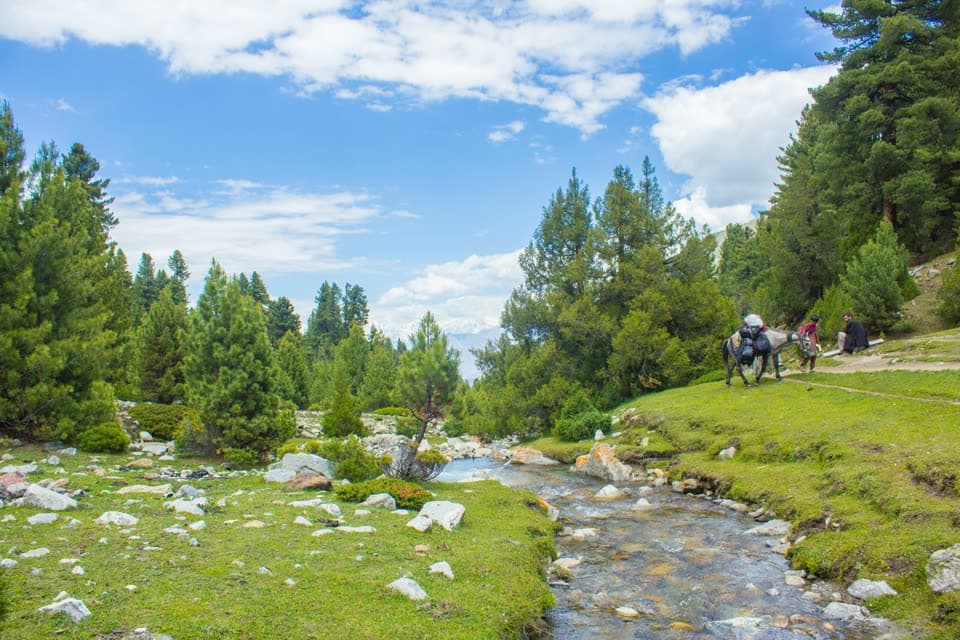 Fairy Meadows, Naran & Shogran Summer Tour
